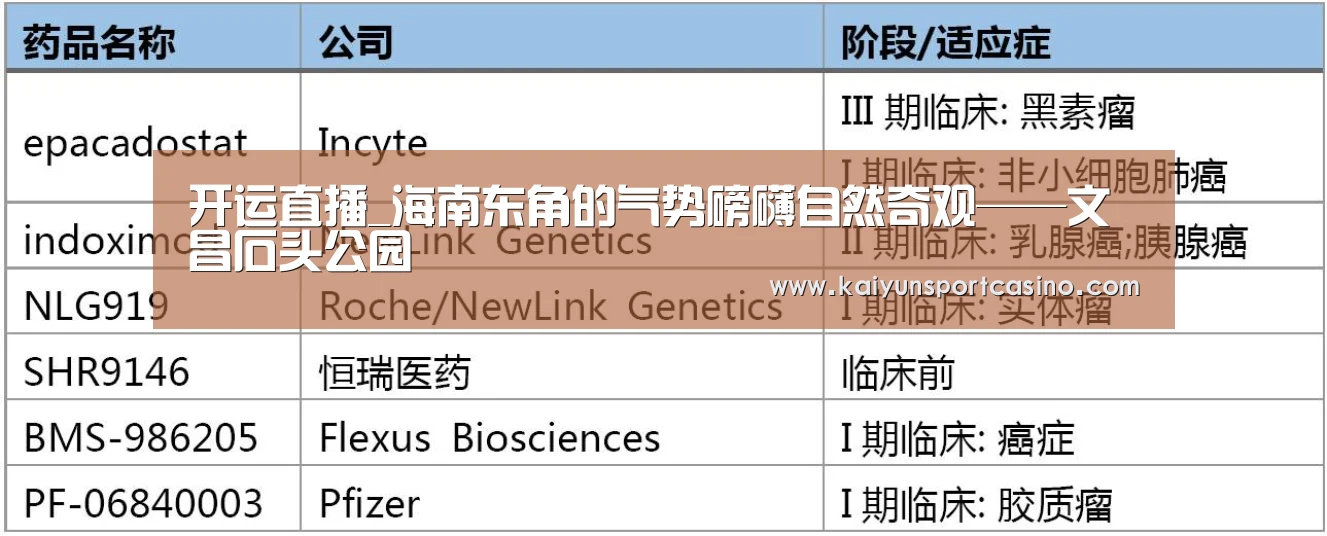 开运直播_海南东角的气势磅礴自然奇观——文昌石头公园(图1) 开运登录