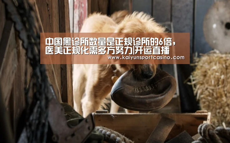 开运直播